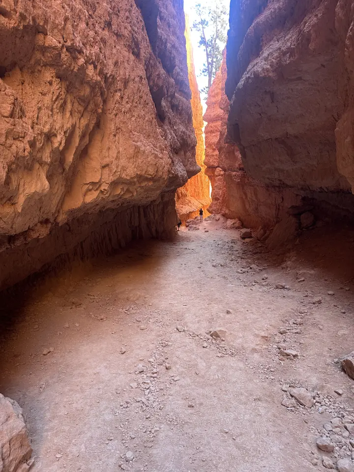 bryce canyon photo
