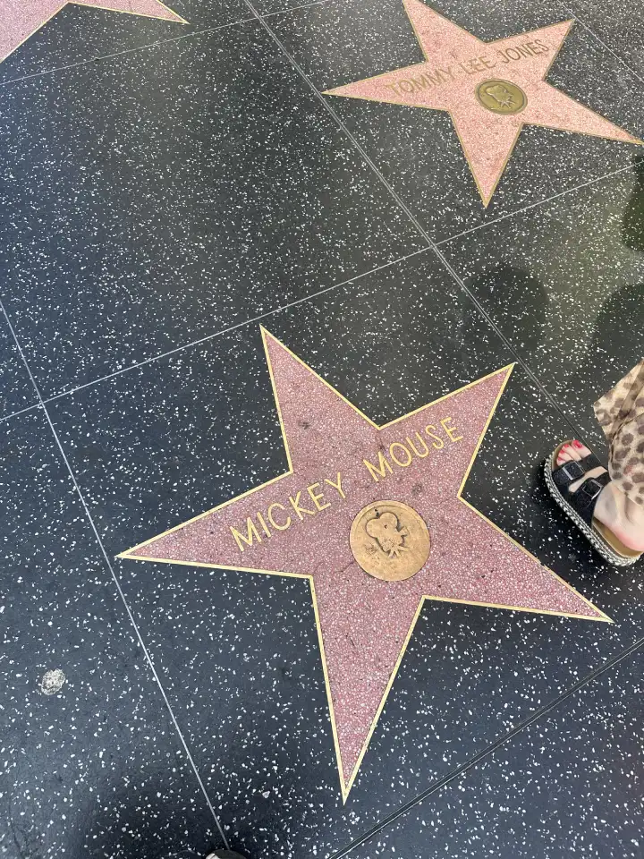 hollywood mickey mouse